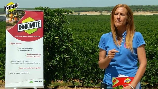 Koromite 2021 смотреть онлайн