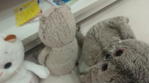 Влог с басиками. У нас пополнение😳🥳