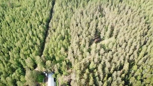 Лето наступило. Шашлыки. смотреть онлайн
