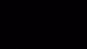 МОНЕТЫ НЕ КОНЧАЮТСЯ!!!КРУПНЫЕ МОНЕТЫ И СЕРЕБРО!!СУПЕР ФУНДАМЕНТ!!БОГАТЕЙШИЙ ДОМ!!ШУРФ С Garrett Apex