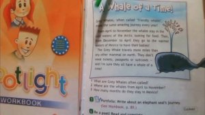 Spotlight 4 Student's Book A Whale Of A Time Серые Киты Проводят Приятное Время Видеофильм