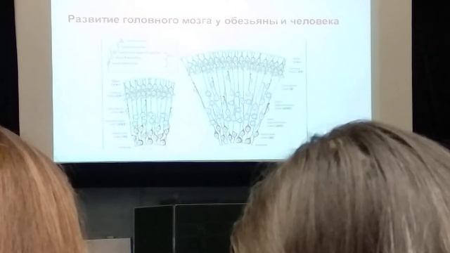 Ладыгина ЦНС часть 4 смотреть онлайн