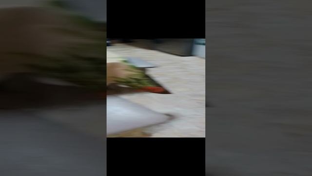 нарисовала новогодний рисунок⛄⛄⛄⛄☃️ смотреть онлайн