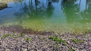 Строим пруд ч2