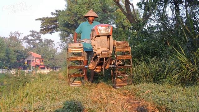 Turun Gerobak! Traktor Sawah Turun Dari Gerobak Lalu Menuju Ke Lahan Garapan смотреть онлайн