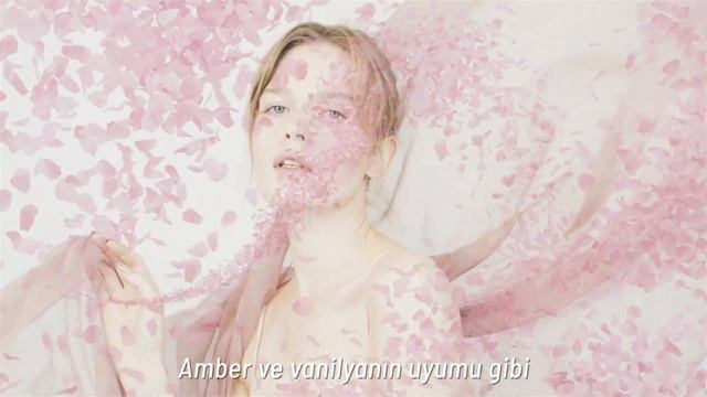 Yeni İmza Kokunuz; Signature! смотреть онлайн