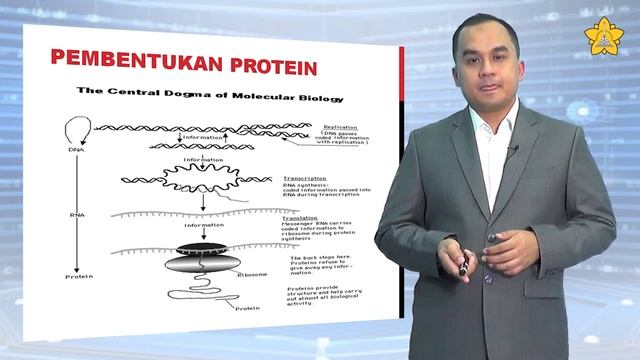 E-Learning (Metabolisme Protein & Asam Nukleat) - Bagian 3 смотреть онлайн