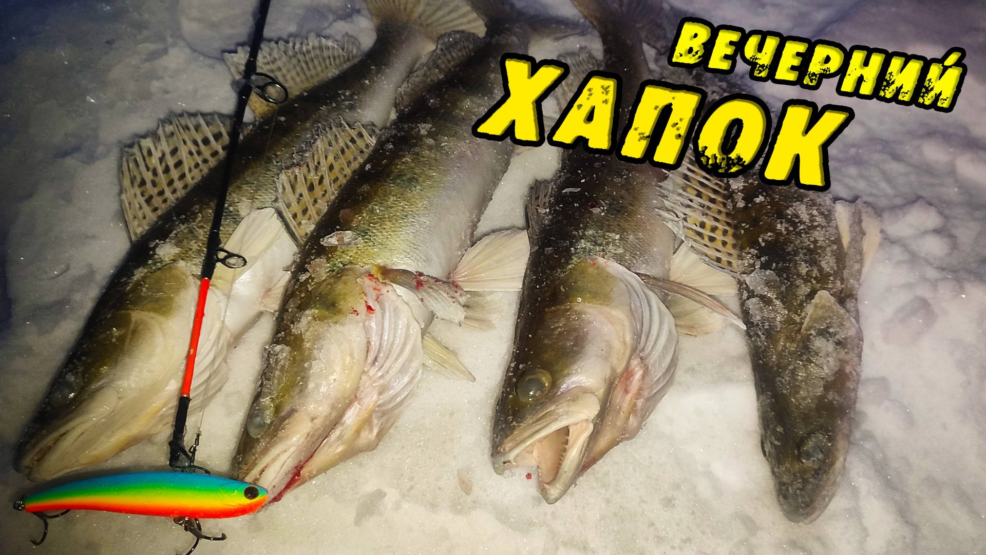 ХОМУТИНА Раздаёт! Искали Судака и попали на Мини Хапок! Зимняя рыбалка на СУДАКА. Судак на Вибы 2024 смотреть онлайн