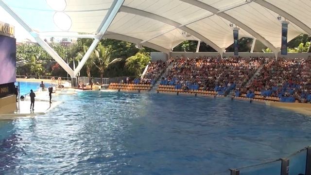 Канары.Тенерифе. Лоро парк.