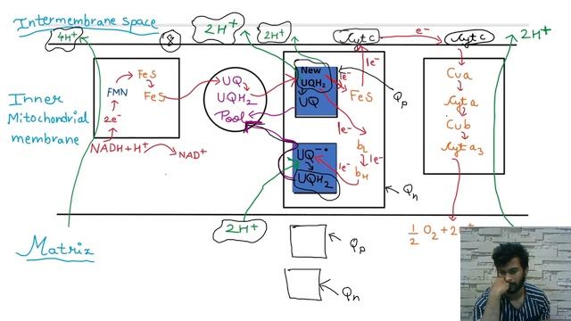 Electron transport chain | In Hindi | CSIR NET | GATE | DBT JRF | Shantanu Kolhe смотреть онлайн