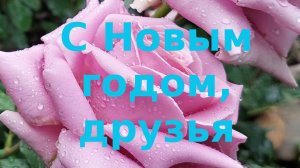 С Новым Годом
