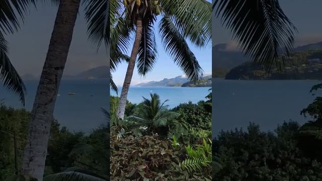 Утро Сейшелы.Октябрь 2024 смотреть онлайн