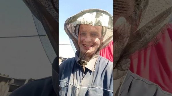 Один день пчеловода.