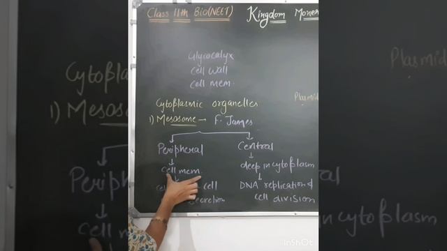 Mesosome || Kingdom Monera #biology