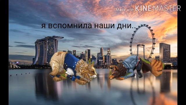 Wildcraft мини история смотреть онлайн