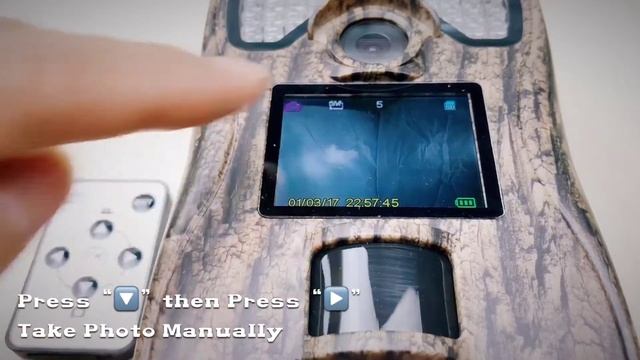 Hunting Trail Camera Quick Start Guide (C Series) смотреть онлайн
