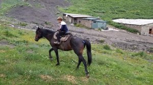 Конная школа верховой езды