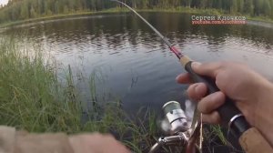 Как ловить окуня щуку на лесном озере на вертушку Mepps