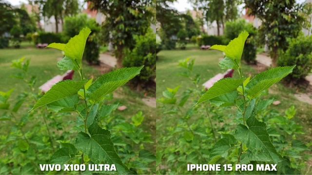 Vivo X100 Ultra Vs IPhone 15 Pro Max Camera Test