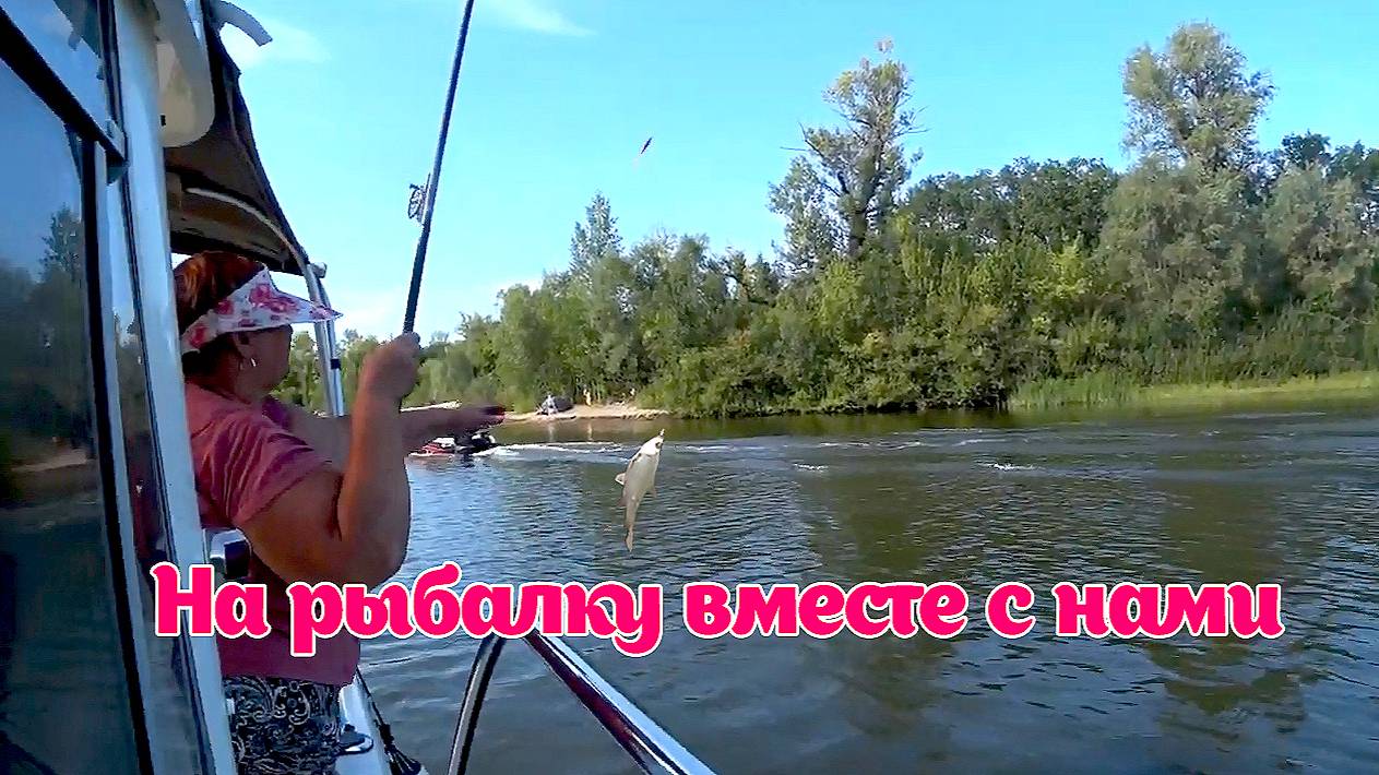 Ловля густеры апрель 2024. Жарим рыбку. ВЕСЕННИЙ ОТДЫХ НА РЕКЕ ВОЛГА. смотреть онлайн