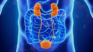 Исцеление Мочевого Пузыря через Меридиан*Уникальные Резонансные Частоты