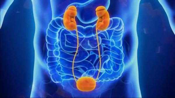 Исцеление Мочевого Пузыря через Меридиан*Уникальные Резонансные Частоты