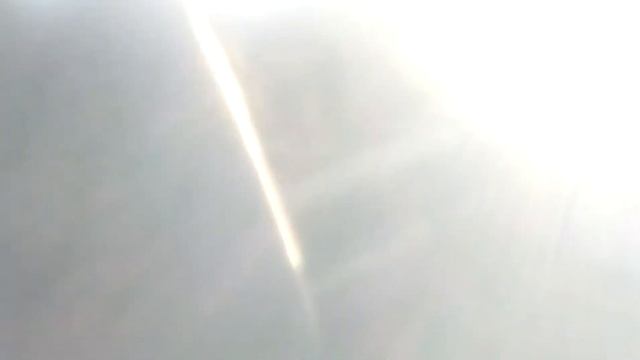 Наша собака)сама прыгает в машину)))