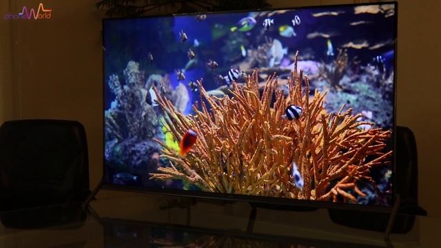 TCL P8S 4K UHD Android TV Urdu Review | 4K Dispaly in Budget смотреть онлайн