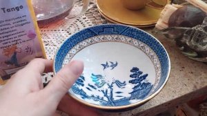 влог - цветочное пополнение, почаёвничаем. Рената Смирнова. Рига