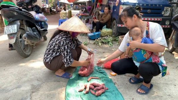 Single Mom 18 Years Old: Harvet Sweet Potato goes to the market sell