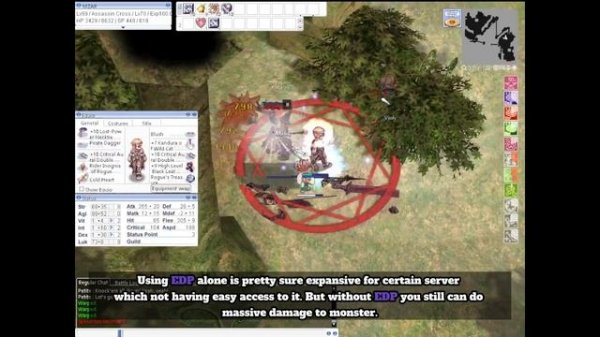 Assassin Cross Full Critical ASPD Build | Ragnarok Online