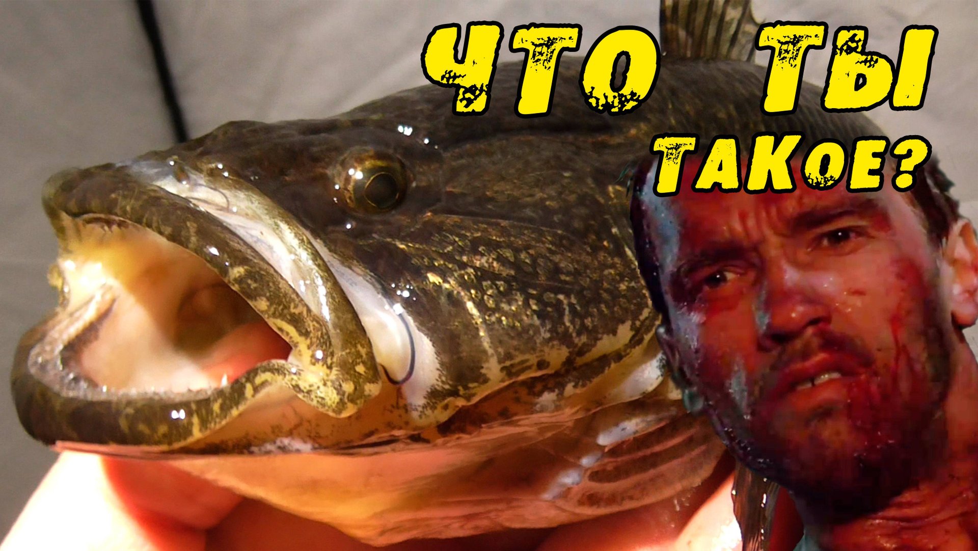 ОГРОМНЫЕ ТВАРИ Заполонили ЭТО ОЗЕРО!! Рыбалка на КРУПНОГО РОТАНА! Первый лёд 2023-2024! Озеро ЗИМНЯК смотреть онлайн