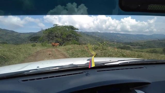 Fotón Tunland Trochas En Risaralda