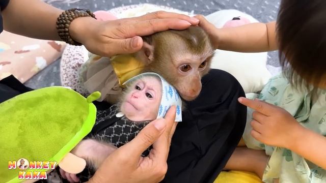 Diem and Monkey Kaka kept quiet to let the sick monkey Mit rest