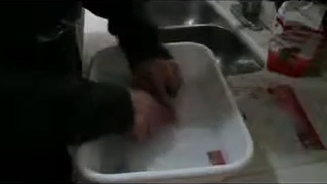 Con musica baja calidad xvid смотреть онлайн