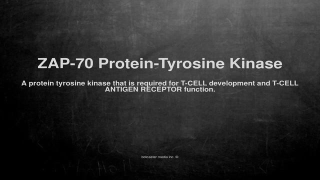 Medical vocabulary: What does ZAP-70 Protein-Tyrosine Kinase mean смотреть онлайн