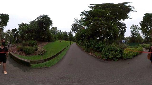 Botanic Gardens, Singapore (Part 1) | Nature Walk in VR 360 смотреть онлайн
