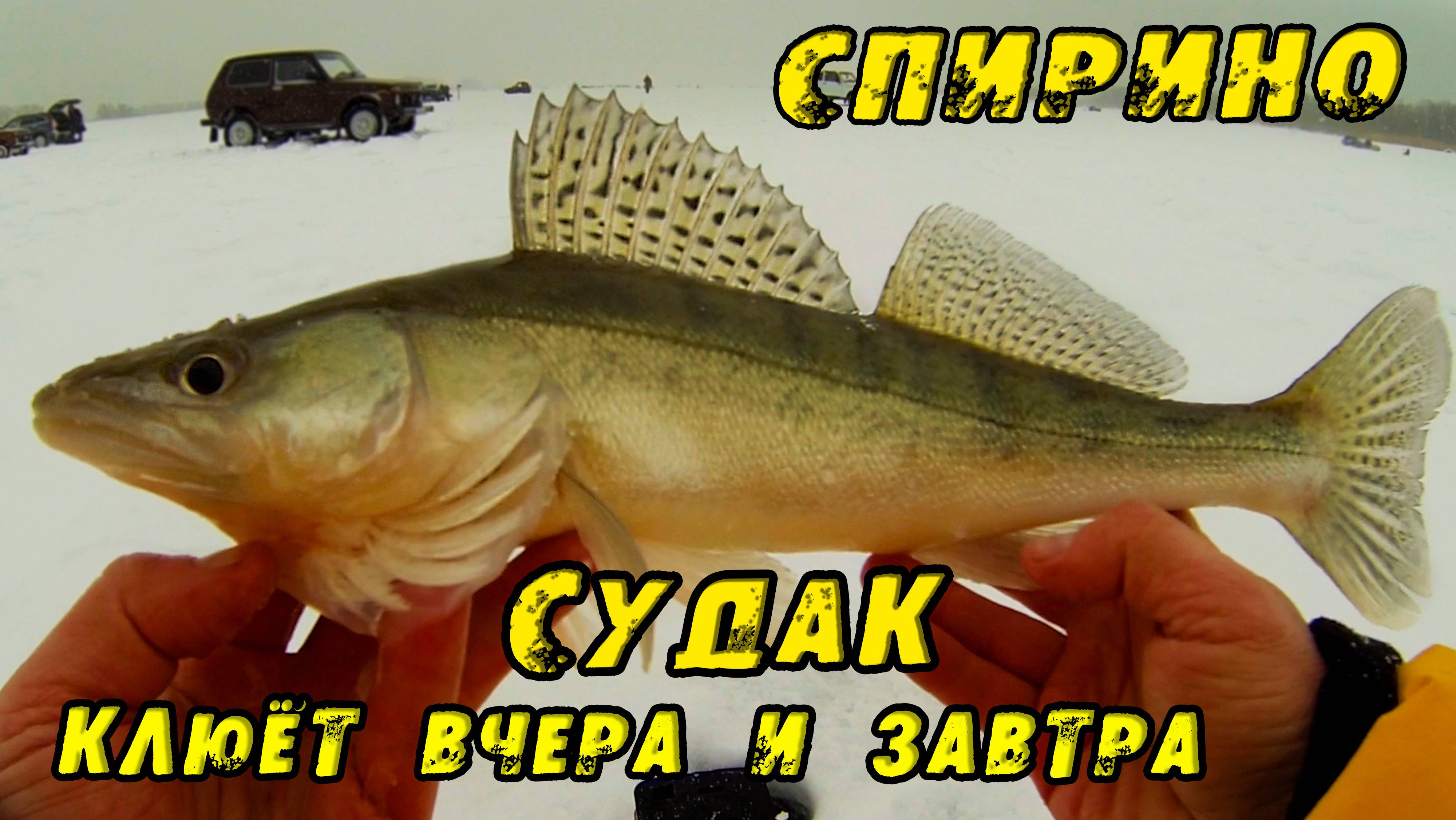 ЭТОТ ВИБ ЛОВИТ!!! Поклёвки с УДАРОМ! Зимняя рыбалка в СПИРИНО. СУДАК и ЩУКА НА ВИБЫ зимой 2023! смотреть онлайн