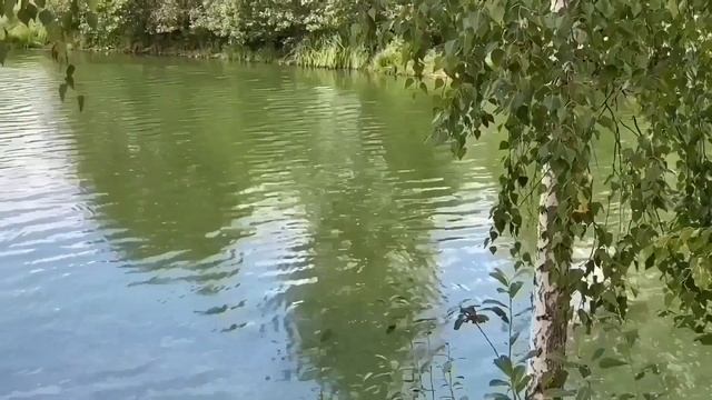 ГНИЛОЙ ХАЙП! ДИТЁ В ПОДВАЛЕ СПИТ! VREDINA LIFE. смотреть онлайн