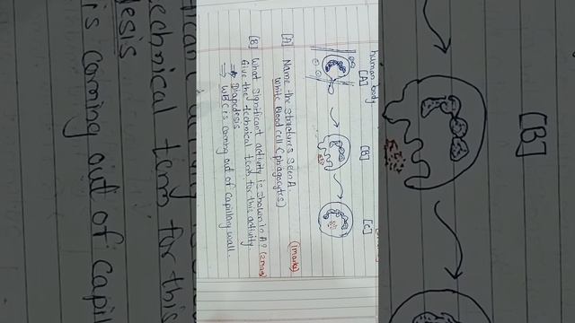phagocytosis 10th ICSE смотреть онлайн
