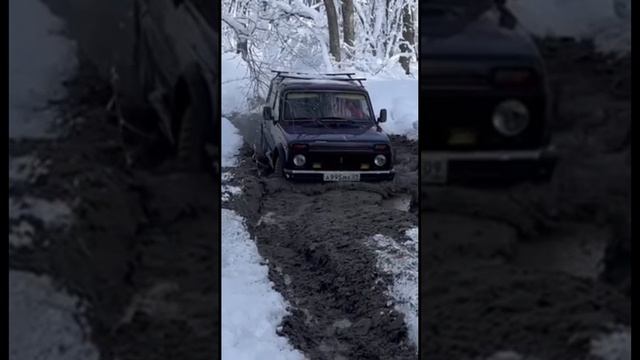 Настоящая легенда смотреть онлайн