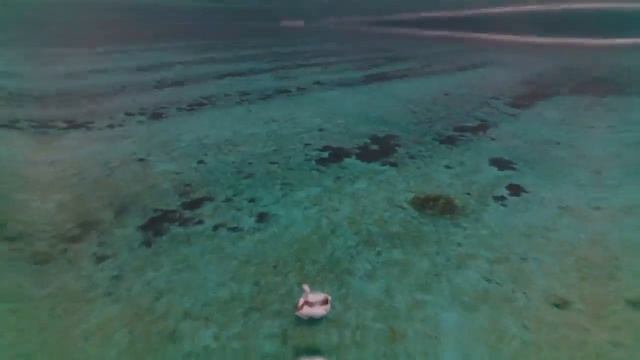 "Sandy toes, sun kissed nose". This is Maldives Paradise on Earth. смотреть онлайн