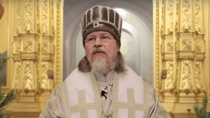 2024. МИТРОПОЛИТЫ ИЛЛАРИОН И МАРК: кого на кого поменяли. Мнение А.РОЖИНЦЕВА