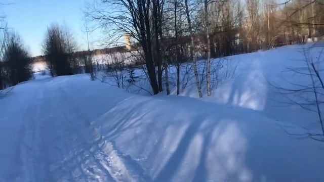 Охотничьи собаки смотреть онлайн