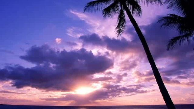 Milan Andjelovic - Sunset On The Beach.avi смотреть онлайн