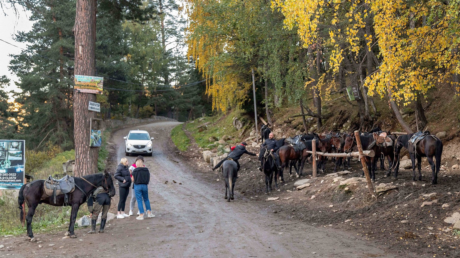 Активный отдых в Архызе: каждый найдет себе развлечение по интересу смотреть онлайн
