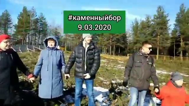 Флешмоб в защиту парка Каменный бор смотреть онлайн