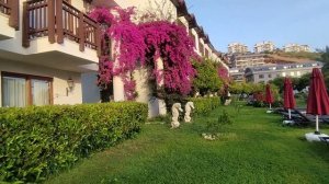 Отель MISAL. В апельсиновом саду.