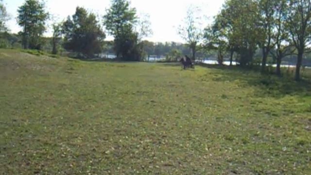 Moms mini horse and carrage смотреть онлайн