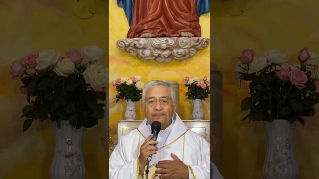 Homilía 205 - Parroquia MM Santuario DNJ смотреть онлайн